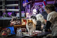 FighNight26-13