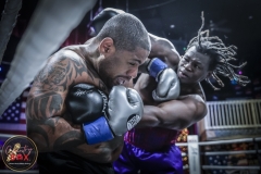 FighNight26-250