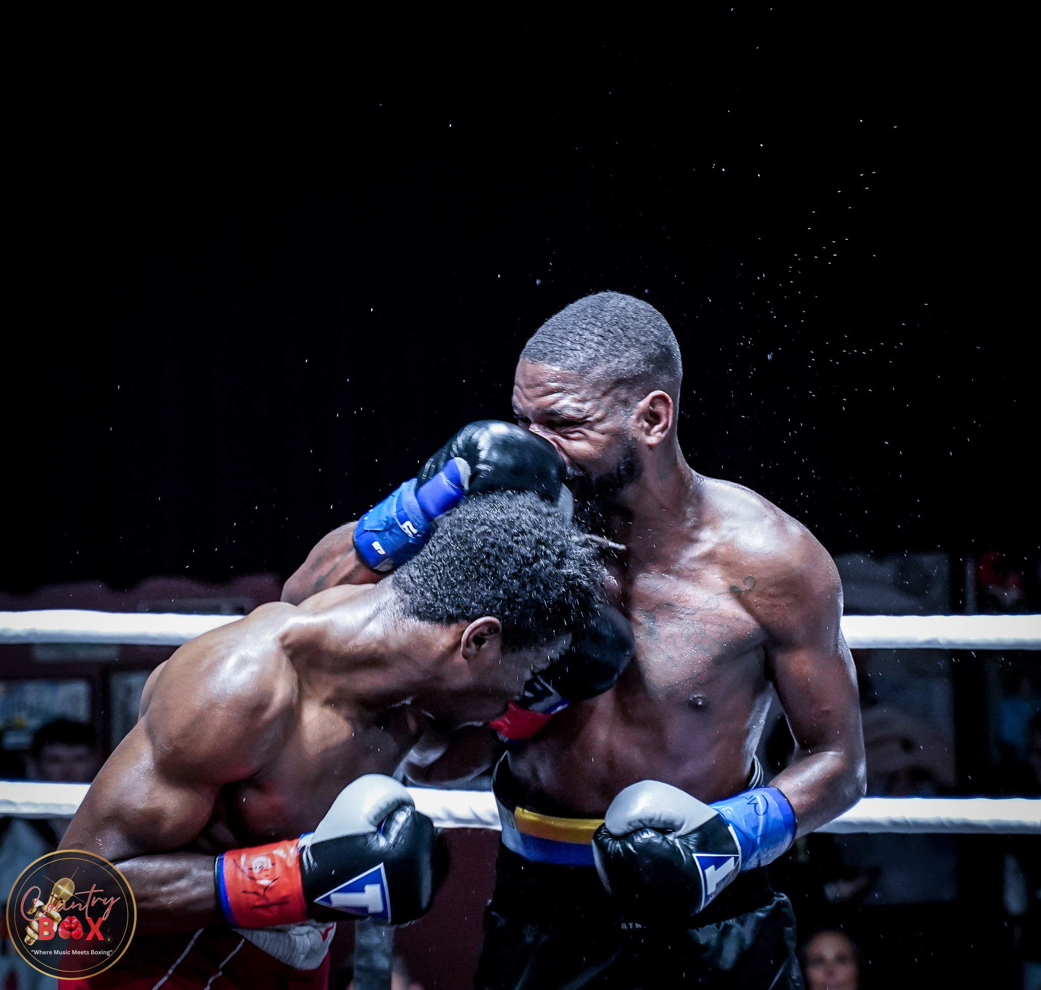 CountryBox15fight-871